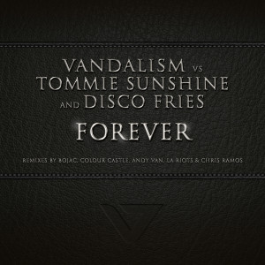 Listen to Forever (Chris Ramos Remix) song with lyrics from VanDalism
