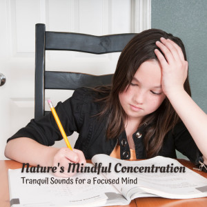 Nature's Mindful Concentration: Tranquil Sounds for a Focused Mind