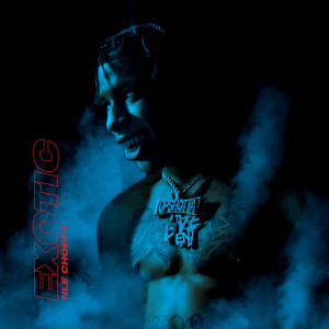 ดาวน์โหลดและฟังเพลง Exotic (Clean) พร้อมเนื้อเพลงจาก NLE Choppa
