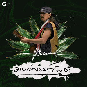 收聽แอ๊ด คาราบาว的Miracle Marijuana歌詞歌曲