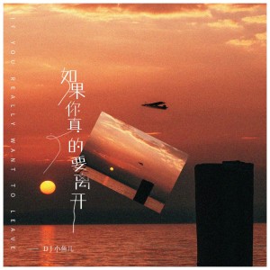 Listen to 如果你真的要离开（DJ版） (完整版) song with lyrics from DJ 小鱼儿