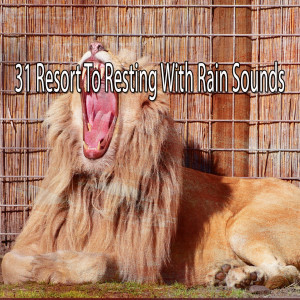 收聽Rain Sounds的A Rumble in the Night歌詞歌曲