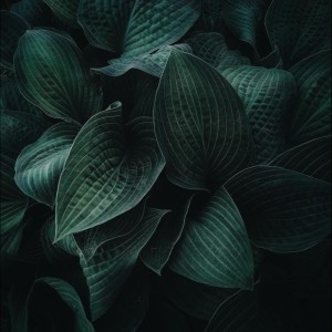 收聽Deep Sleep的Enigma歌詞歌曲
