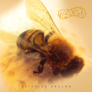 ดาวน์โหลดและฟังเพลง Brisa da Abelha (其他) พร้อมเนื้อเพลงจาก Tricoma