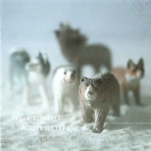 ดาวน์โหลดและฟังเพลง Ghost Animals พร้อมเนื้อเพลงจาก Sarah Schuster
