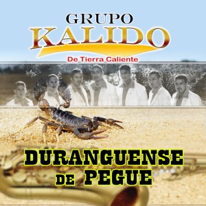 ดาวน์โหลดและฟังเพลง Mi Precio (Grupero) พร้อมเนื้อเพลงจาก Grupo Kalido De Tierra Caliente