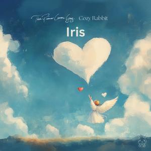 The Piano Cover Guy的專輯Iris (Piano Version)