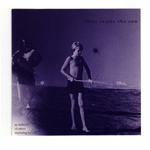 ดาวน์โหลดและฟังเพลง The Man With No Arms พร้อมเนื้อเพลงจาก Flies Inside The Sun