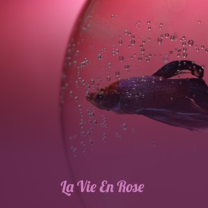 收聽The Classics的Weekend歌詞歌曲