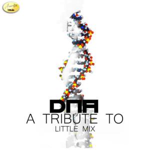 收聽Ameritz - Tribute的DNA歌詞歌曲