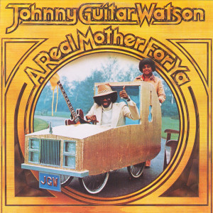 Dengarkan lagu Nothing Left To Be Desired nyanyian Johnny Guitar Watson dengan lirik
