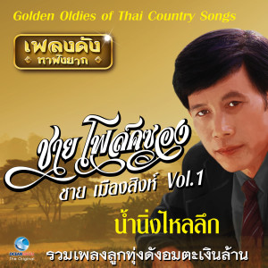 Album เพลงดังหาฟังยาก "ชาย โฟล์คซอง", Vol..1 (Golden Oldies Of Thai Country Songs) oleh ชาย โฟล์คซอง