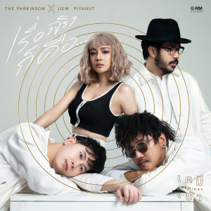 อัลบัม เคมีเข้า ศิลปิน เดอะ พาร์คินสัน