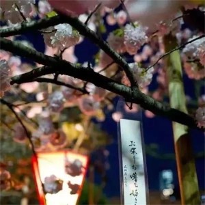 ดาวน์โหลดและฟังเพลง Paradise Lush Life (氛围版) พร้อมเนื้อเพลงจาก Michael Tovich