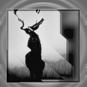 Listen to Shadows In The Air song with lyrics from Niju