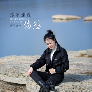 收聽雨中百合的你不懂我傷悲歌詞歌曲