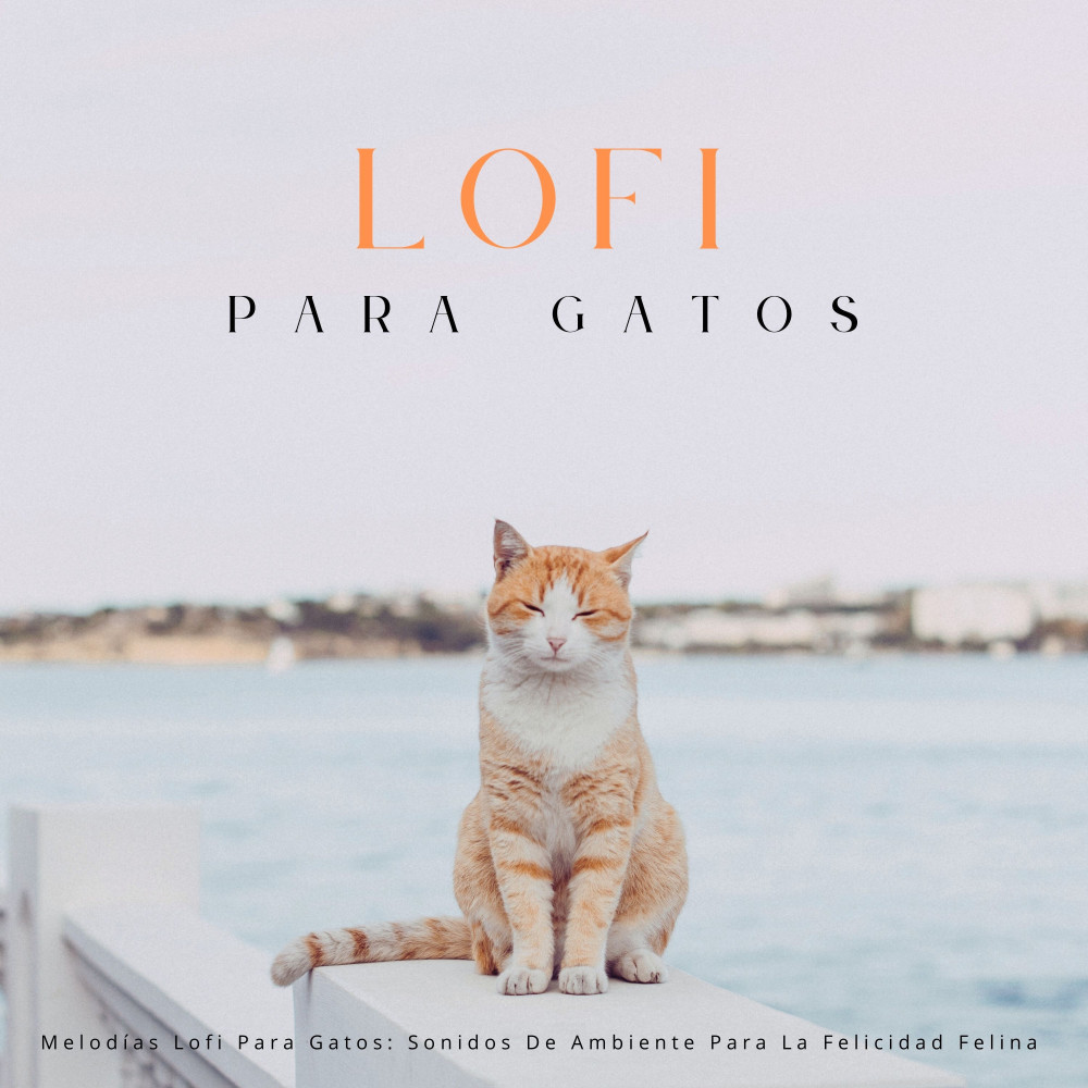 Sinfonía Lofi Para Calma De Las Patas