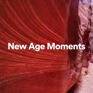 อัลบัม New Age Moments ศิลปิน New Age Anti Stress Universe
