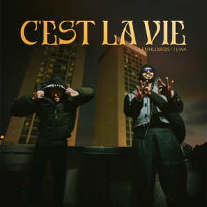 Lemhllwess的專輯C’est la vie