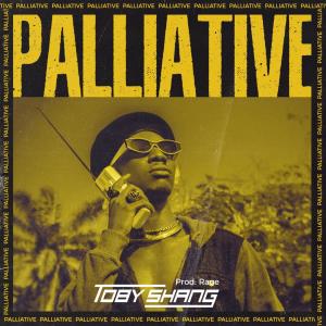Listen to Palliative song with lyrics from Toby Shang