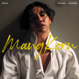 ดาวน์โหลดและฟังเพลง จำไม่ลง..คงไม่ลืม พร้อมเนื้อเพลงจาก MANGKORN
