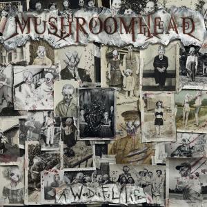 อัลบัม A Wonderful Life ศิลปิน Mushroomhead