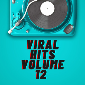 Various的專輯Viral Hits Volume 12 (Explicit)
