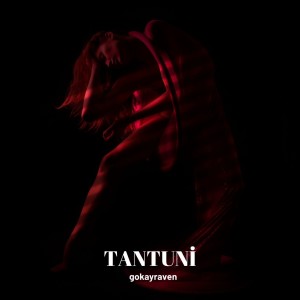 Listen to TANTUNİ song with lyrics from gokayraven