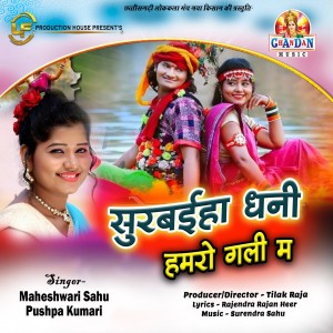 Listen to Surbaiha Dhani Hamro Gali Ma (Chhattisgarhi Geet) song with lyrics from Maheshwari Sahu