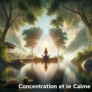 Zen Ambiance D'eau Calme的專輯Concentration et le calme (Maîtrise de l'esprit)