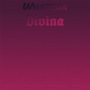 Various Artists的專輯Whatcha Divina