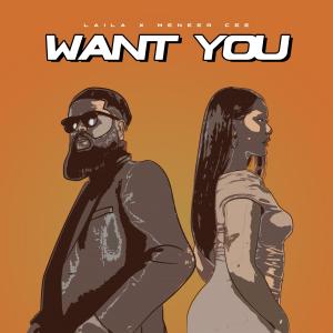 收聽Laila的Want You (feat. Meneer Cee)歌詞歌曲