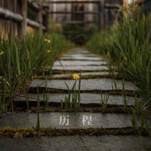 อัลบัม 历程 ศิลปิน Dreamy