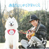default album img