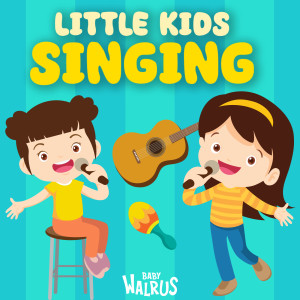 Listen to Wind The Bobbin Up song with lyrics from Baby Walrus
