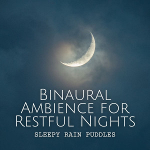 Puppy Music Therapy的专辑Sleepy Rain Puddles: Binaural Ambience for Restful Nights