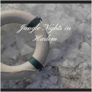 Jack Palmer的专辑Jungle Nights in Harlem (Explicit)