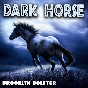 收聽Brookyln Bolster的Dark Horse歌詞歌曲
