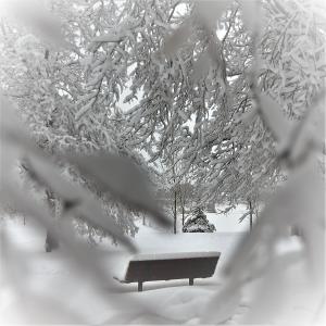 收聽Tennyson Elbow 的Winter Clothes (Minus Intro)歌詞歌曲