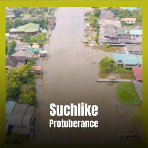 Various的专辑Suchlike Protuberance