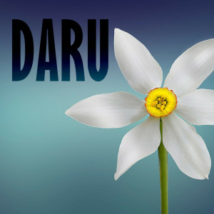 收聽Daru的Hold My Hand歌詞歌曲