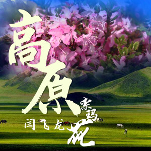 收聽閆飛龍的高原索瑪花 (伴奏)歌詞歌曲