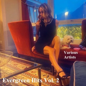 Listen to Blue Suede Shoes song with lyrics from Elvis Presley