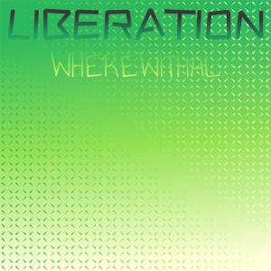 อัลบัม Liberation Wherewithal ศิลปิน Various