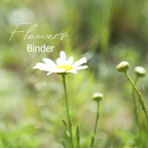 Listen to Flowers song with lyrics from Binder