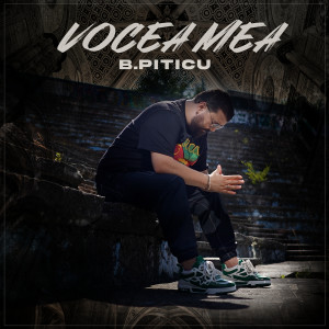 Listen to Vocea Mea song with lyrics from B.Piticu