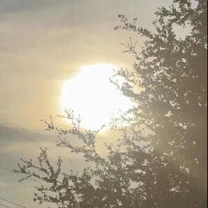 收聽Osaka Hotline的play no games (Explicit)歌詞歌曲