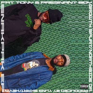 收聽Fat Tony的Northside Dr. (Explicit)歌詞歌曲