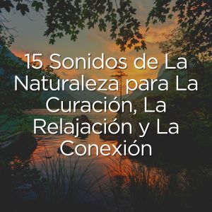 อัลบัม 15 Sonidos de La Naturaleza para La Curación, La Relajación y La Conexión ศิลปิน Oasis de Détente et Relaxation