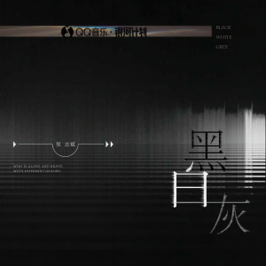 Album 黑白灰 from 侯志斌